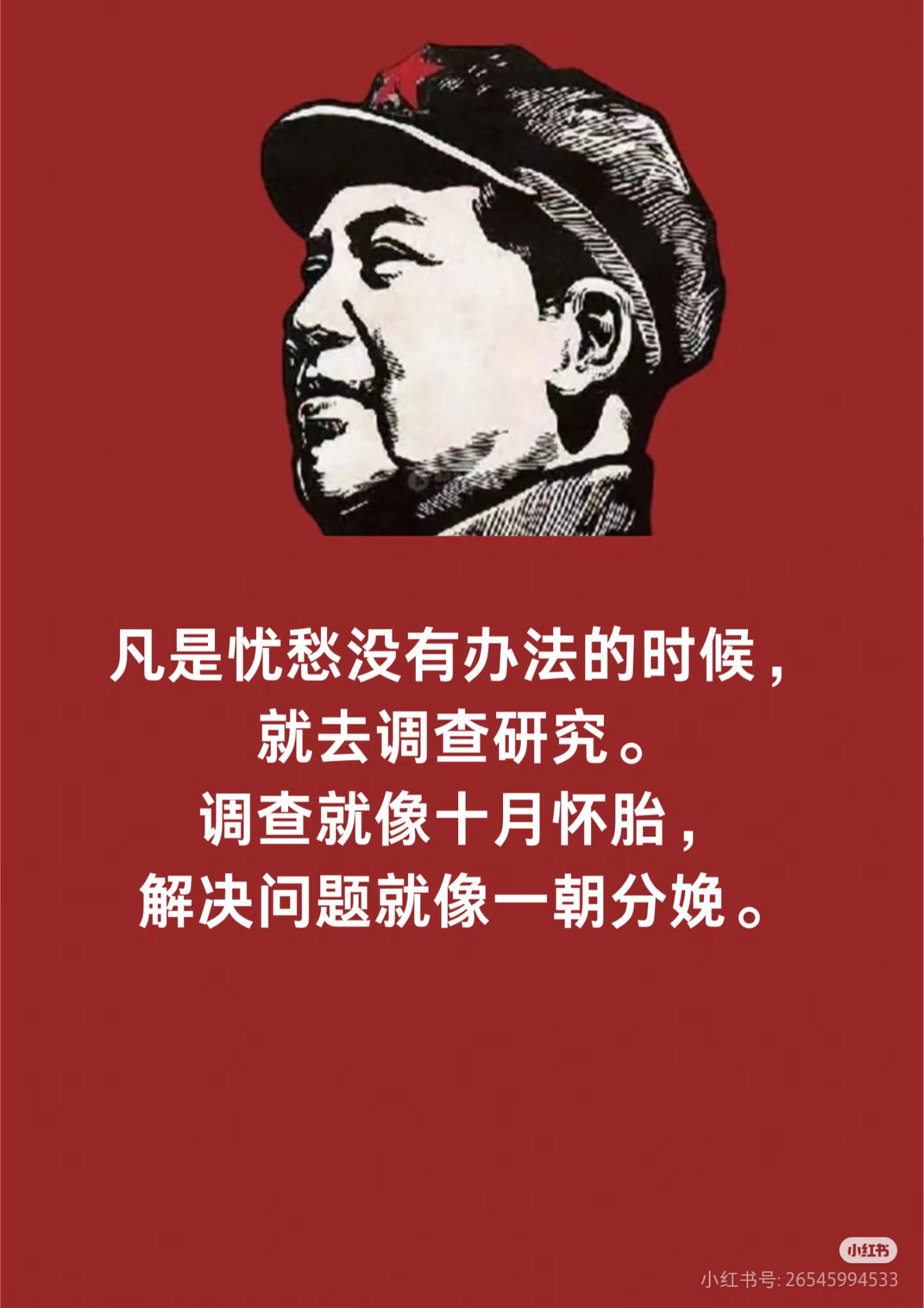 关于究竟谁才是真正的强者，革命尚未成功？的信息